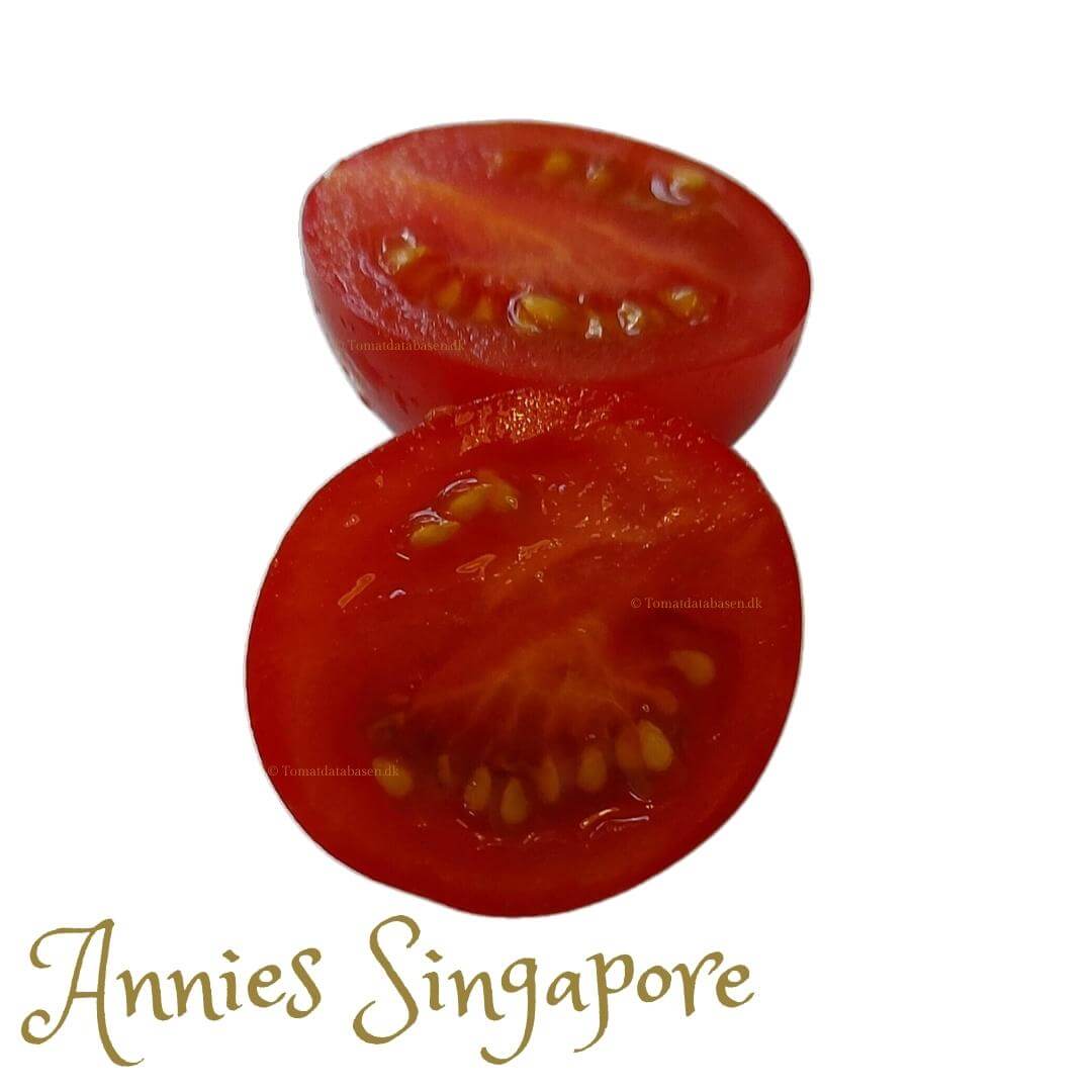 *Annies Singapore